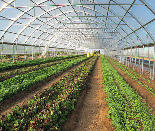 farmtek farmtek